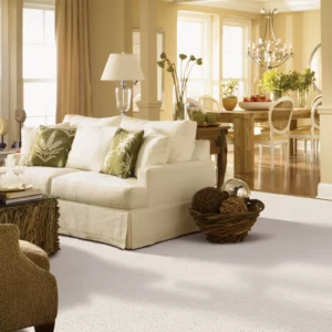 Living Room Carpet Flooring | Niemann's American Flooring