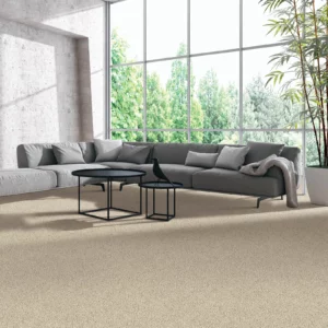 Living Room Carpet Flooring | Niemann's American Flooring