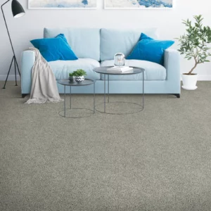 Carpet Flooring | Niemann's American Flooring