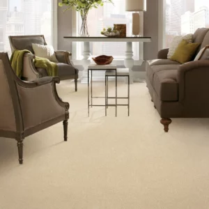 Carpet Flooring | Niemann's American Flooring